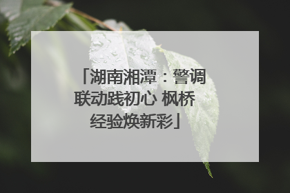湖南湘潭：警调联动践初心 枫桥经验焕新彩