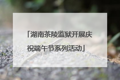 湖南茶陵监狱开展庆祝端午节系列活动