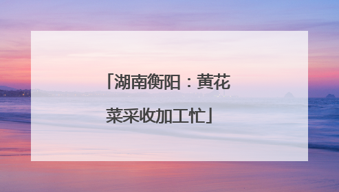 湖南衡阳：黄花菜采收加工忙