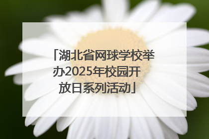 湖北省网球学校举办2025年校园开放日系列活动
