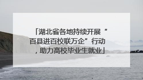 湖北省各地持续开展“百县进百校联万企”行动，助力高校毕业生就业