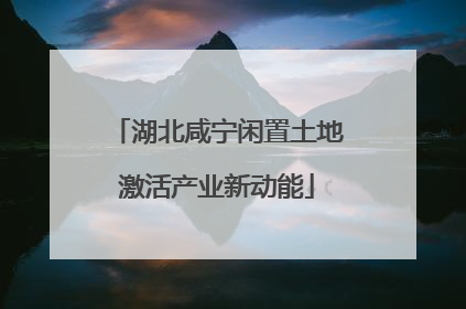 湖北咸宁闲置土地激活产业新动能