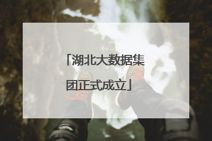 湖北大数据集团正式成立