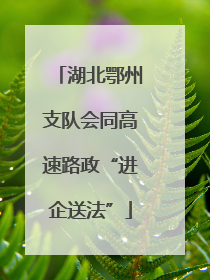 湖北鄂州支队会同高速路政“进企送法”