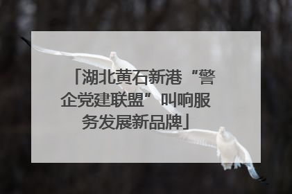 湖北黄石新港“警企党建联盟”叫响服务发展新品牌