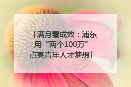 满月看成效：浦东用“两个100万”点亮青年人才梦想