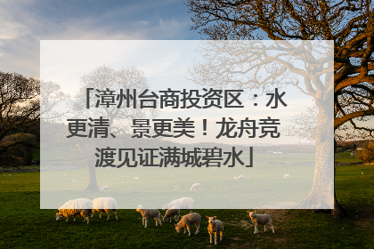 漳州台商投资区：水更清、景更美！龙舟竞渡见证满城碧水