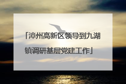 漳州高新区领导到九湖镇调研基层党建工作