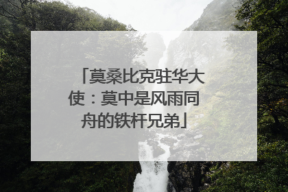 莫桑比克驻华大使：莫中是风雨同舟的铁杆兄弟