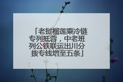 老挝榴莲乘冷链专列抵蓉，中老班列公铁联运出川分拨专线增至五条