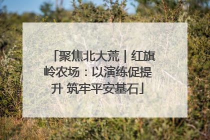 聚焦北大荒｜红旗岭农场：以演练促提升 筑牢平安基石
