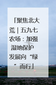 聚焦北大荒｜五九七农场：加强湿地保护 发展向“绿”而行
