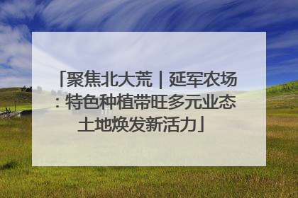 聚焦北大荒｜延军农场：特色种植带旺多元业态 土地焕发新活力