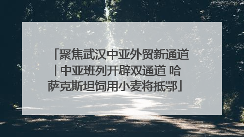 聚焦武汉中亚外贸新通道│中亚班列开辟双通道 哈萨克斯坦饲用小麦将抵鄂