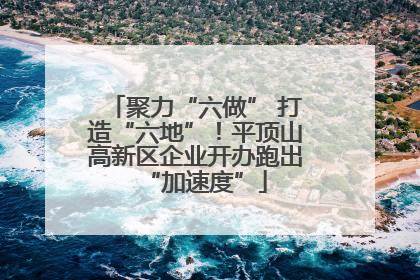聚力“六做” 打造“六地”！平顶山高新区企业开办跑出“加速度”