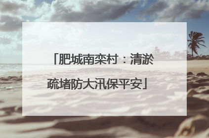 肥城南栾村：清淤疏堵防大汛保平安