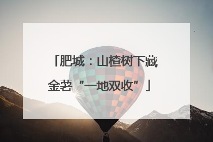肥城：山楂树下藏金薯“一地双收”