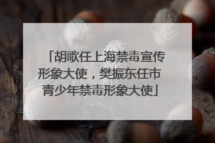 胡歌任上海禁毒宣传形象大使，樊振东任市青少年禁毒形象大使