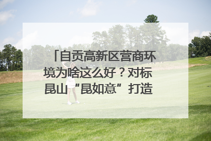 自贡高新区营商环境为啥这么好？对标昆山“昆如意”打造自贡“高兴办”｜美好生活有“盐”味