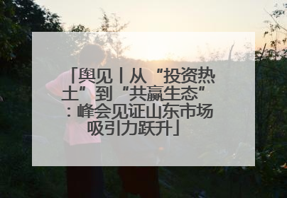 舆见丨从“投资热土”到“共赢生态”：峰会见证山东市场吸引力跃升