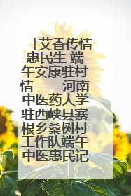 艾香传情惠民生 端午安康驻村情——河南中医药大学驻西峡县寨根乡桑树村工作队端午中医惠民记
