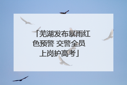 芜湖发布暴雨红色预警 交警全员上岗护高考
