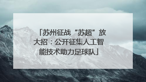 苏州征战“苏超”放大招：公开征集人工智能技术助力足球队