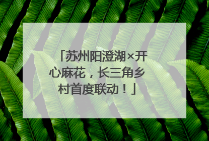 苏州阳澄湖×开心麻花，长三角乡村首度联动！