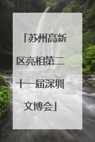 苏州高新区亮相第二十一届深圳文博会