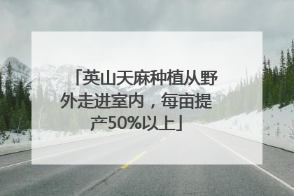 英山天麻种植从野外走进室内，每亩提产50%以上