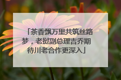茶香飘万里共筑丝路梦，老挝副总理吉乔期待川老合作更深入