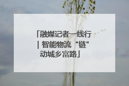 融媒记者一线行｜智能物流“链”动城乡富路