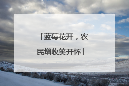 蓝莓花开，农民增收笑开怀
