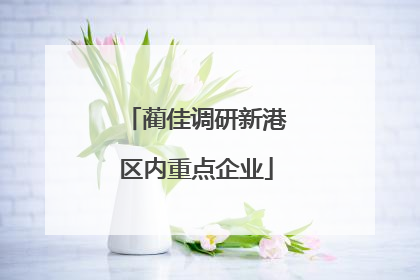 蔺佳调研新港区内重点企业