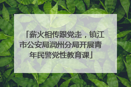 薪火相传跟党走，镇江市公安局润州分局开展青年民警党性教育课