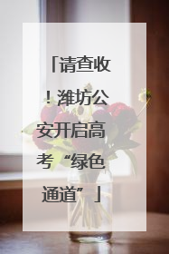 请查收！潍坊公安开启高考“绿色通道”