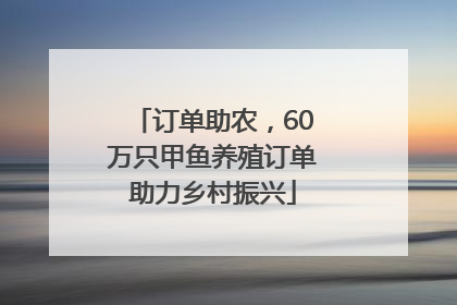 订单助农，60万只甲鱼养殖订单助力乡村振兴