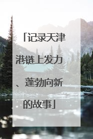 记录天津港链上发力、蓬勃向新的故事
