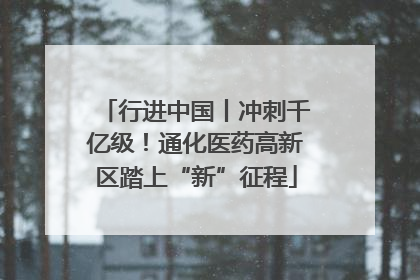 行进中国丨冲刺千亿级！通化医药高新区踏上“新”征程