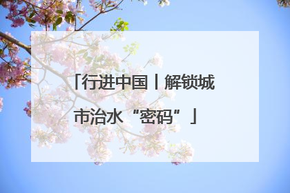 行进中国丨解锁城市治水“密码”