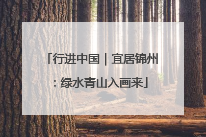 行进中国｜宜居锦州：绿水青山入画来