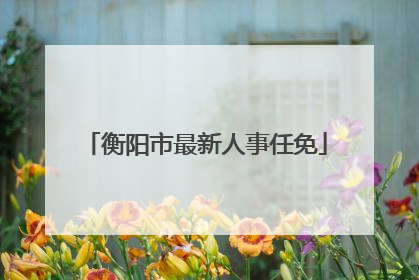 衡阳市最新人事任免