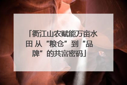 衢江山农赋能万亩水田 从“粮仓”到“品牌”的共富密码