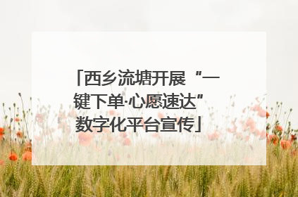 西乡流塘开展“一键下单·心愿速达”数字化平台宣传