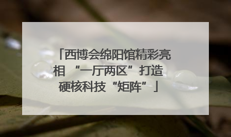 西博会绵阳馆精彩亮相 “一厅两区”打造硬核科技“矩阵”