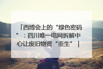 西博会上的“绿色密码”：四川唯一电网拆解中心让废旧物资“重生”｜西博寻“新”记