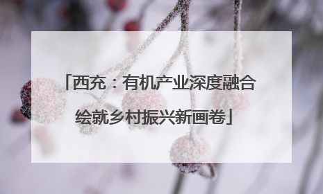 西充：有机产业深度融合 绘就乡村振兴新画卷