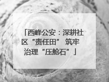 西峰公安：深耕社区“责任田” 筑牢治理“压舱石”
