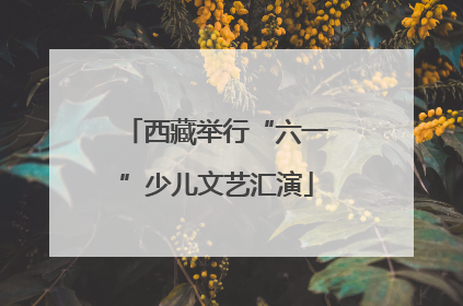 西藏举行“六一”少儿文艺汇演