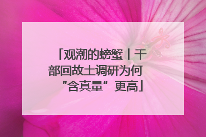 观潮的螃蟹丨干部回故土调研为何“含真量”更高